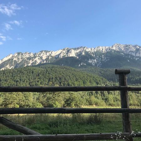 Pensiunea Kyfana Zărneşti Eksteriør billede