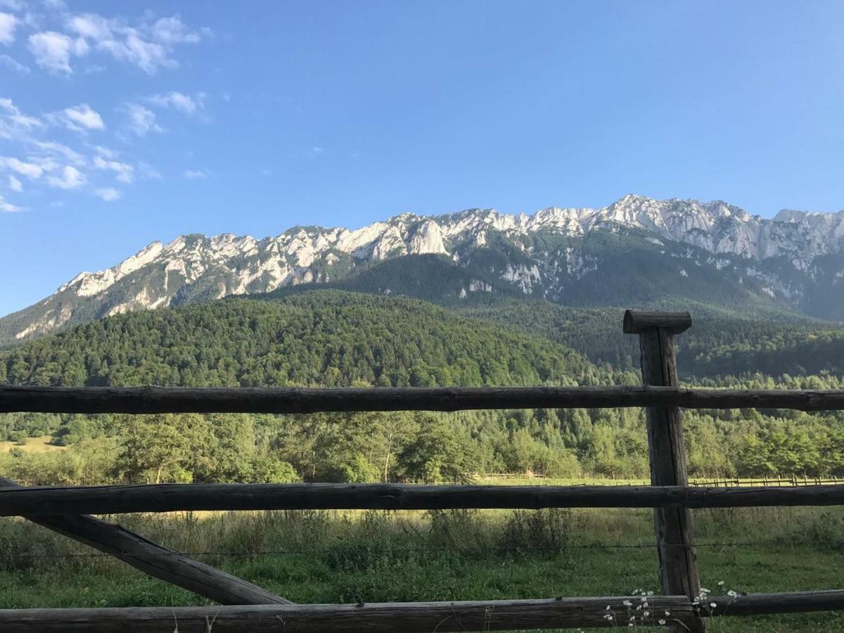 Pensiunea Kyfana Zărneşti Eksteriør billede